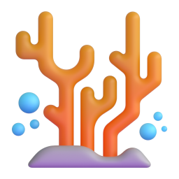 coral – san hô