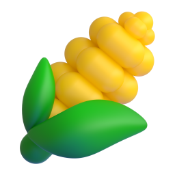 corn – bắp ngô