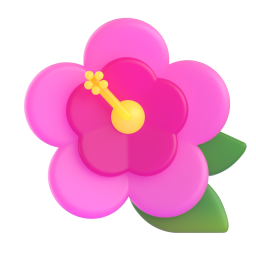 hibiscus – hoa dâm bụt