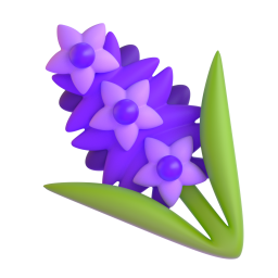 hyacinth – hoa dạ lan hương