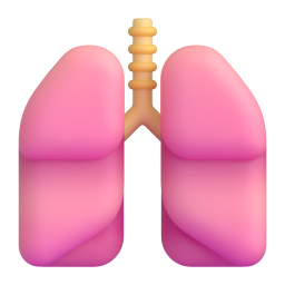 폐 – phổi