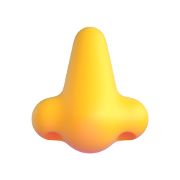 코 – mũi