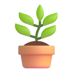 potted plant – chậu cây