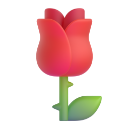 rose – hoa hồng