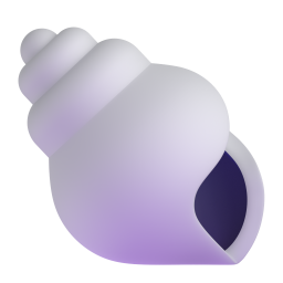 seashell – vỏ ốc