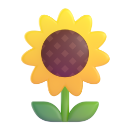 sunflower – hoa hướng dương
