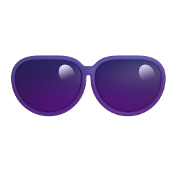 sunglasses – kính mát