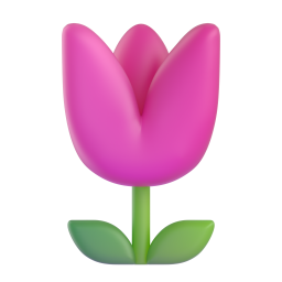 tulip – hoa tulip